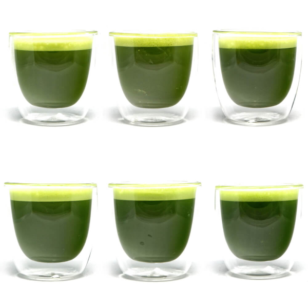 Bio Matcha Komplettset